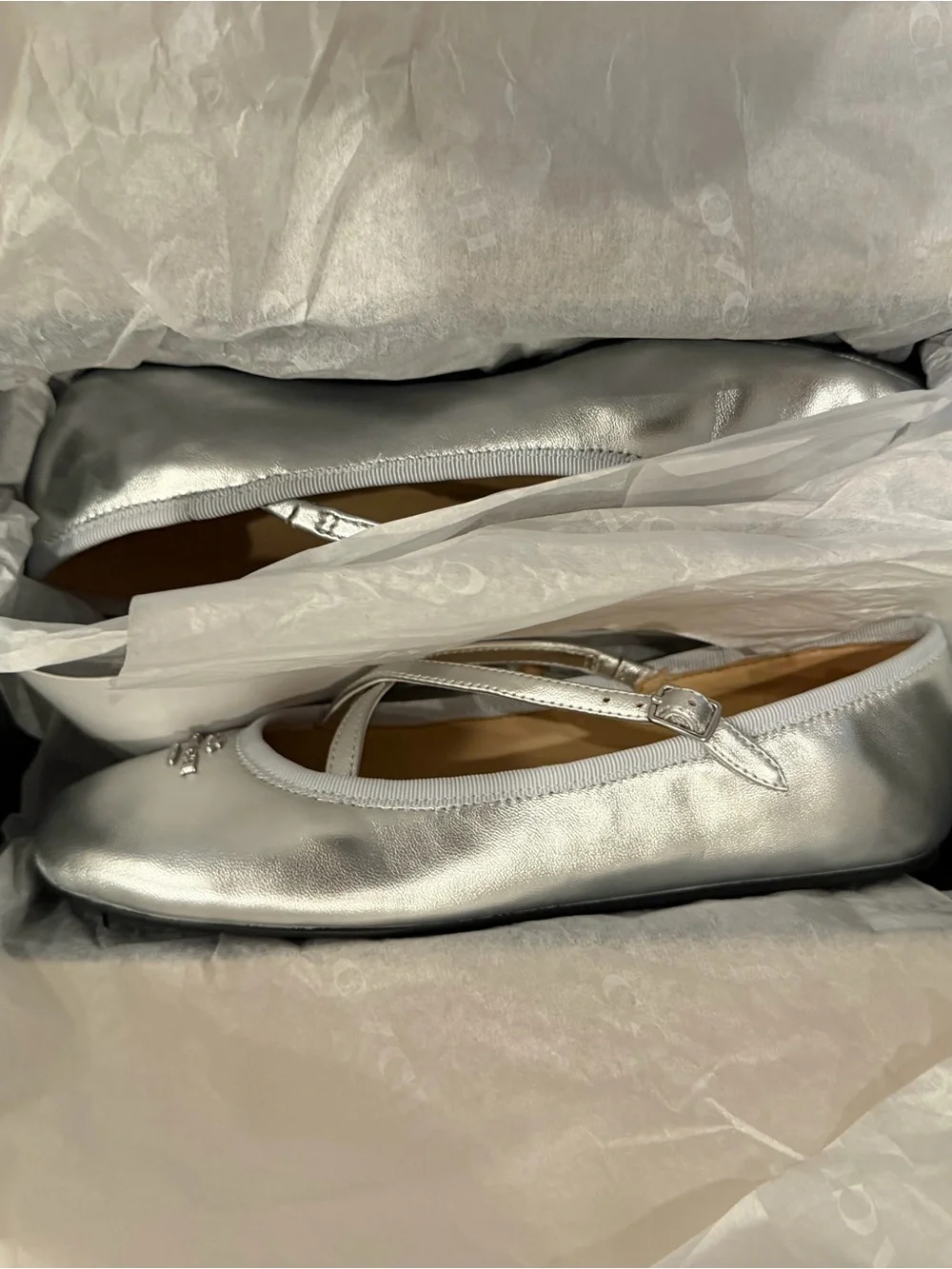 Coach Phoebe Silver Ballet Flats